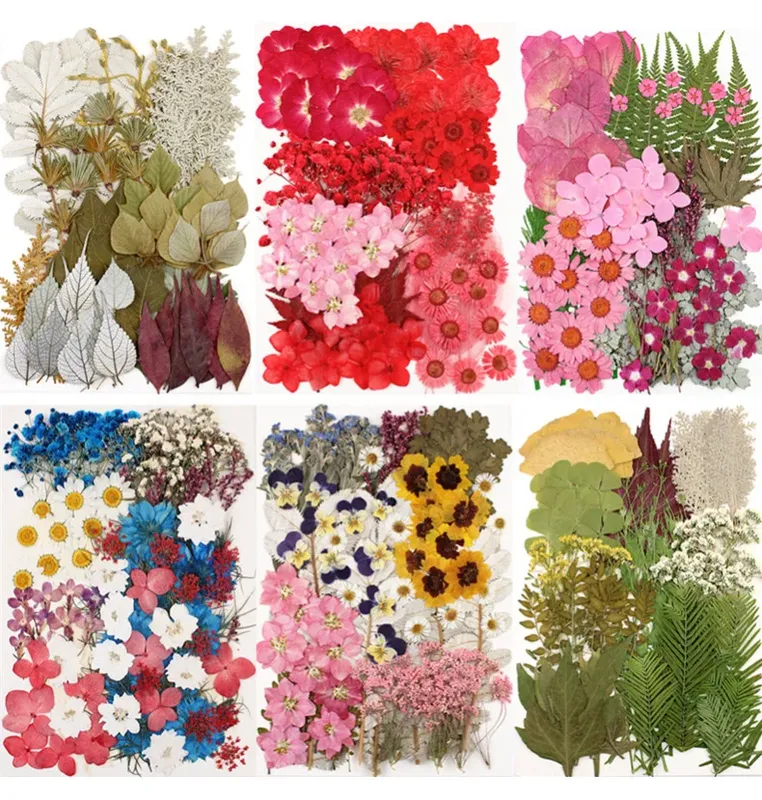 Lot de 100 fleurs et feuilles séchées pour résine et cadres