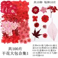 Lot de 100 fleurs et feuilles séchées pour résine et cadres – Color Beige (01)