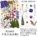 Lot de 100 fleurs et feuilles séchées pour résine et cadres – Color Bleu (03)