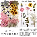 Lot de 100 fleurs et feuilles séchées pour résine et cadres – Color Brun (05)