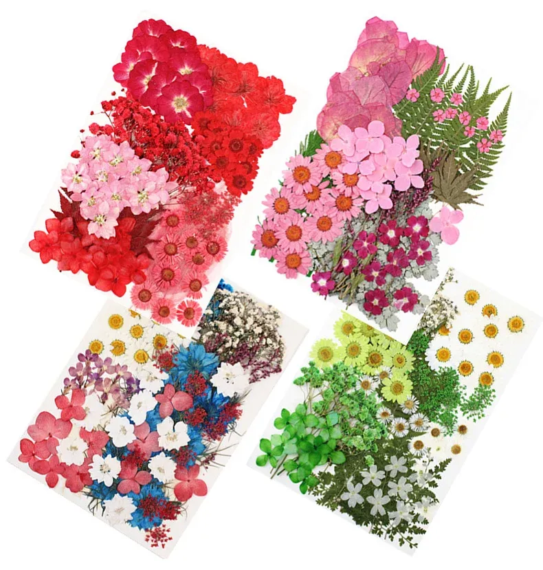 Lot de 100 fleurs et feuilles séchées pour résine et cadres