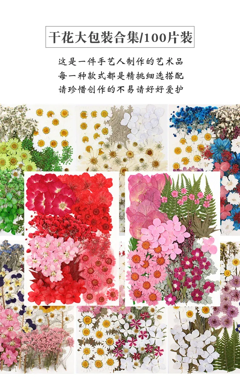 Lot de 100 fleurs et feuilles séchées pour résine et cadres