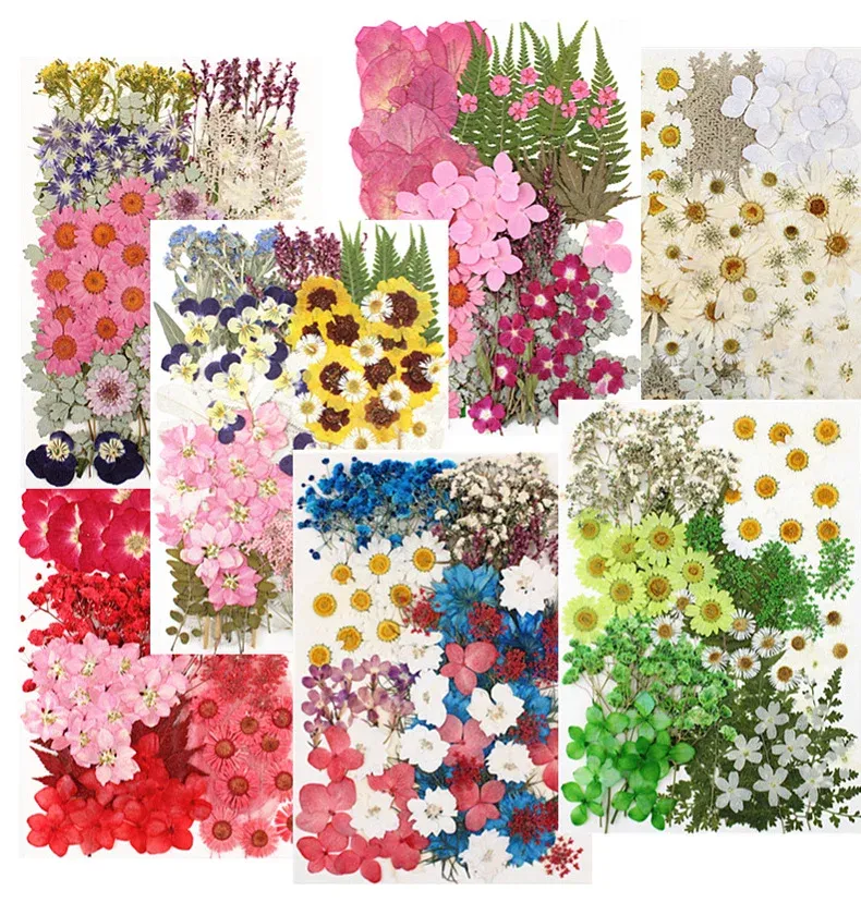 Lot de 100 fleurs et feuilles séchées pour résine et cadres
