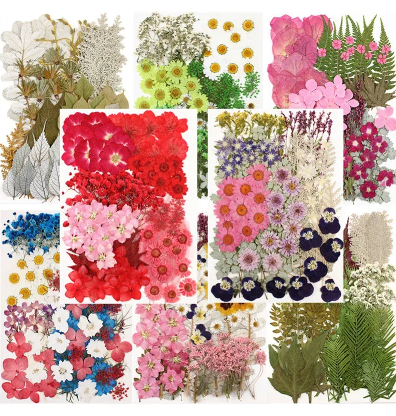 Lot de 100 fleurs et feuilles séchées pour résine et cadres