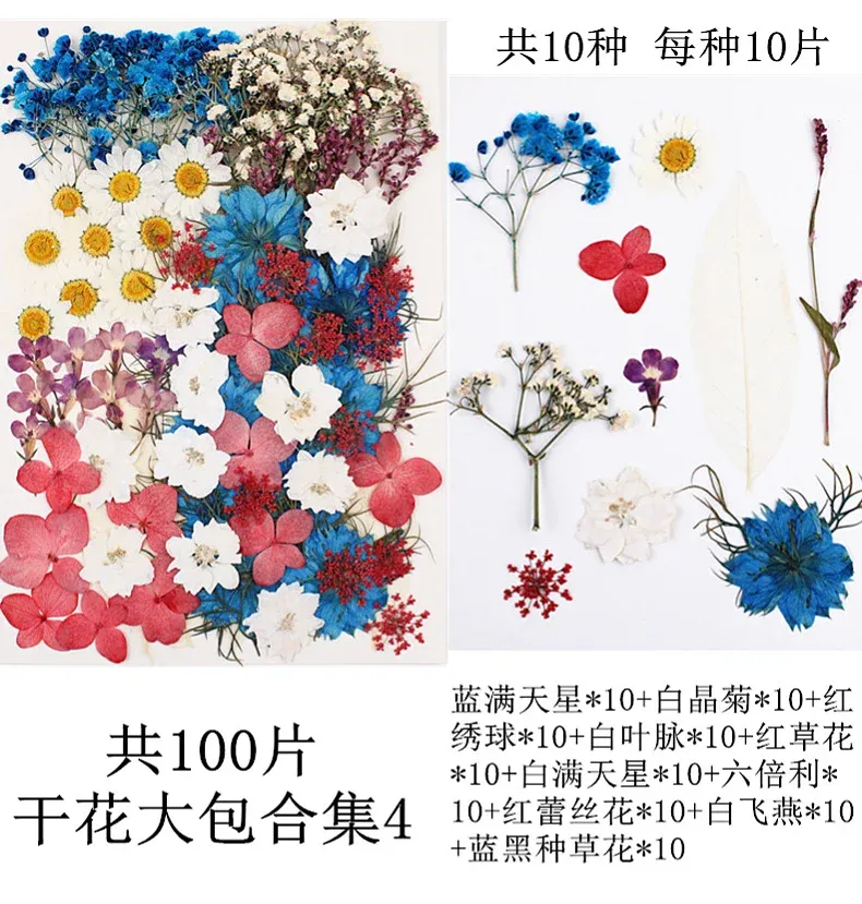 Lot de 100 fleurs et feuilles séchées pour résine et cadres