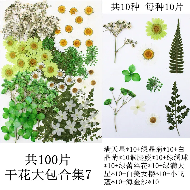 Lot de 100 fleurs et feuilles séchées pour résine et cadres