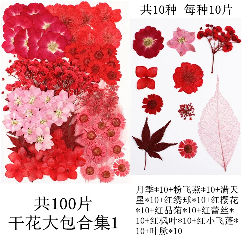 Lot de 100 fleurs et feuilles séchées pour résine et cadres