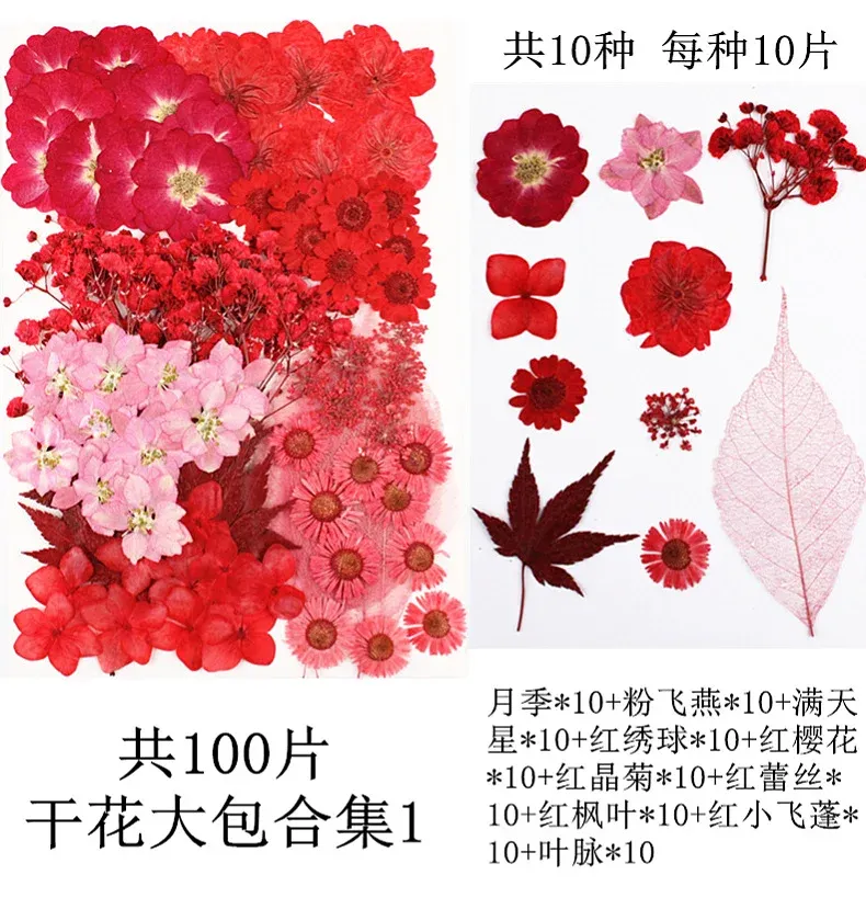 Lot de 100 fleurs et feuilles séchées pour résine et cadres