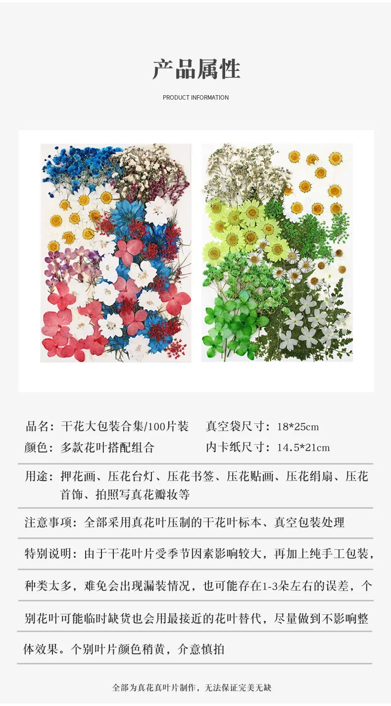 Lot de 100 fleurs et feuilles séchées pour résine et cadres