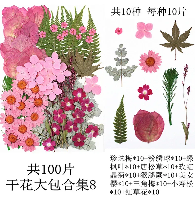 Lot de 100 fleurs et feuilles séchées pour résine et cadres