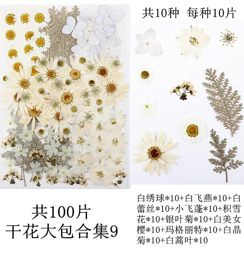 Lot de 100 fleurs et feuilles séchées pour résine et cadres