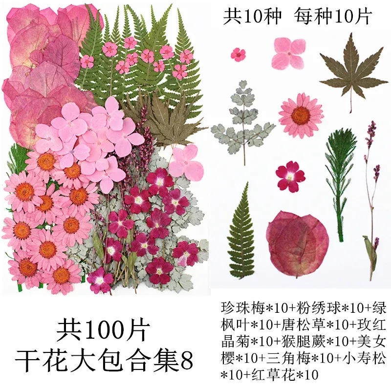 Lot de 100 fleurs et feuilles séchées pour résine et cadres