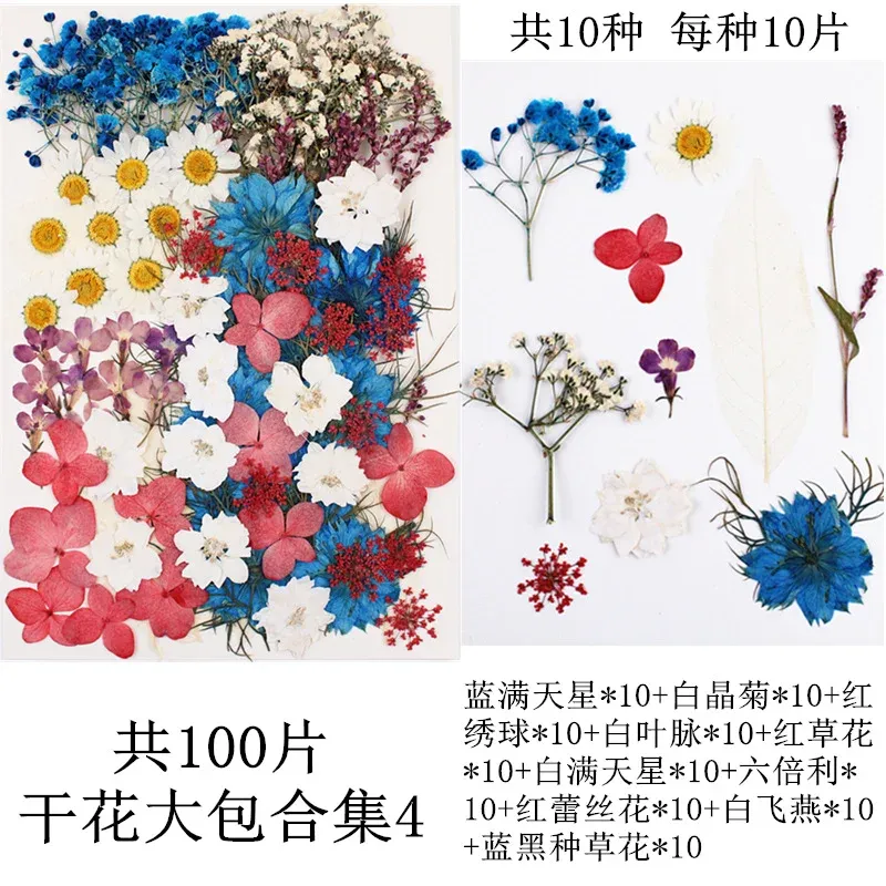 Lot de 100 fleurs et feuilles séchées pour résine et cadres