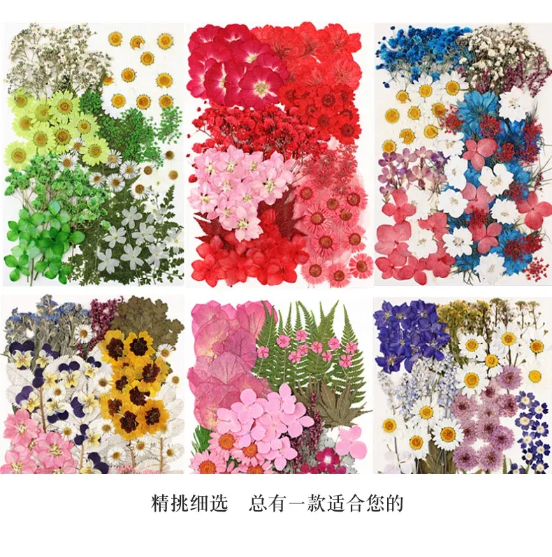 Lot de 100 fleurs et feuilles séchées pour résine et cadres