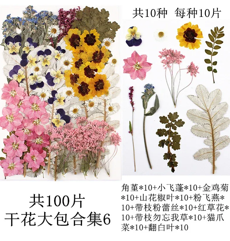 Lot de 100 fleurs et feuilles séchées pour résine et cadres