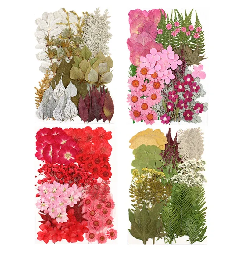 Lot de 100 fleurs et feuilles séchées pour résine et cadres