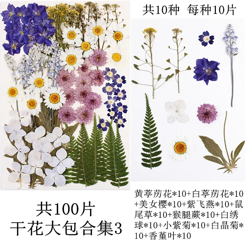 Lot de 100 fleurs et feuilles séchées pour résine et cadres