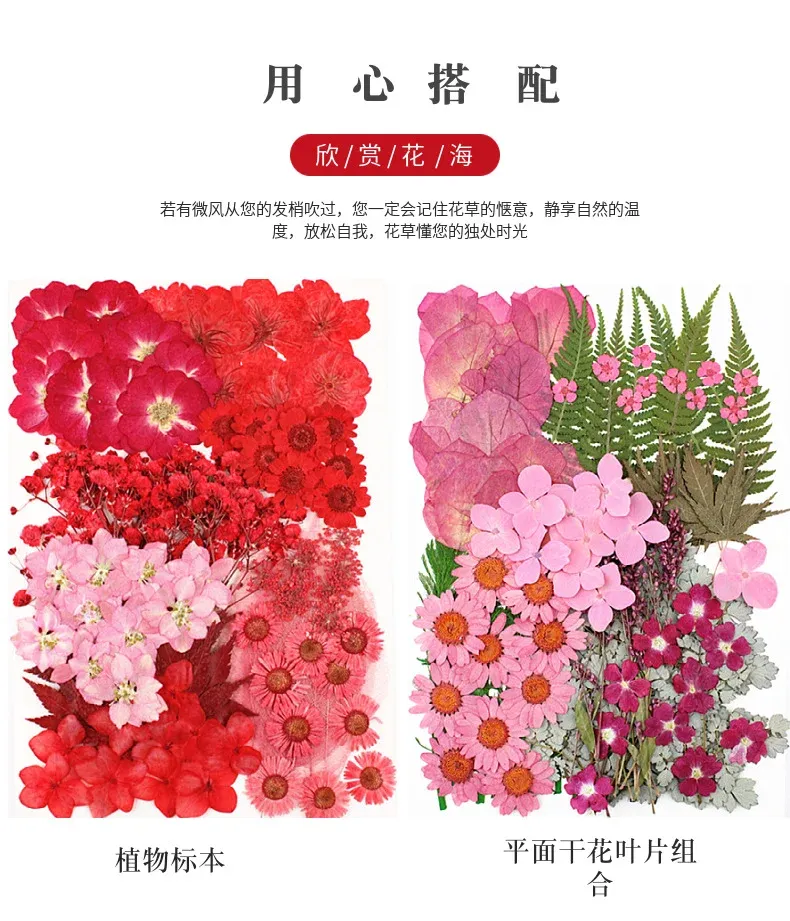 Lot de 100 fleurs et feuilles séchées pour résine et cadres