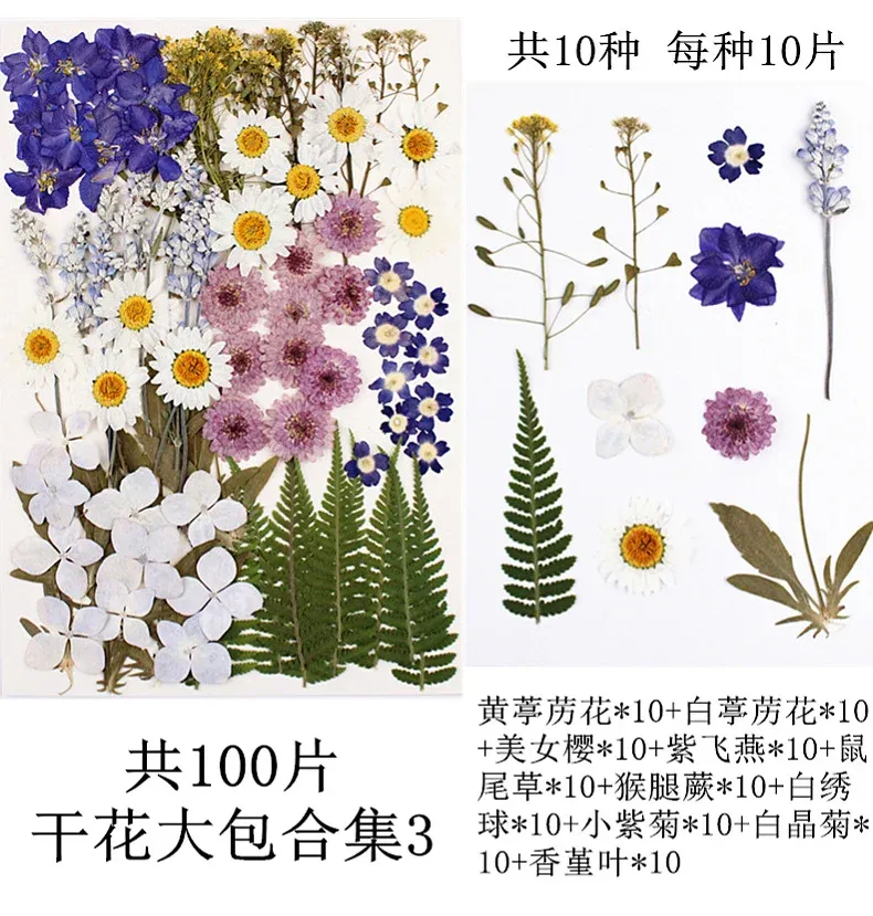 Lot de 100 fleurs et feuilles séchées pour résine et cadres