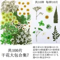 Lot de 100 fleurs et feuilles séchées pour résine et cadres – Color GRIS (07)