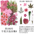 Lot de 100 fleurs et feuilles séchées pour résine et cadres – Color Gris foncé (08)