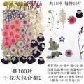 Lot de 100 fleurs et feuilles séchées pour résine et cadres – Color noir (02)