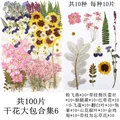Lot de 100 fleurs et feuilles séchées pour résine et cadres – Color Or (06)