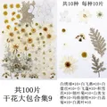 Lot de 100 fleurs et feuilles séchées pour résine et cadres – Color vert (09)