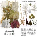 Lot de 100 fleurs et feuilles séchées pour résine et cadres – Color Vert armée (10)