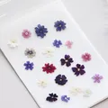 Lot de 100 mini fleurs de cerisier séchées pour résine – 1