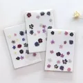 Lot de 100 mini fleurs de cerisier séchées pour résine – 2