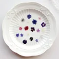 Lot de 100 mini fleurs de cerisier séchées pour résine – 3