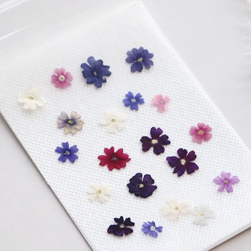 Lot de 100 mini fleurs de cerisier séchées pour résine