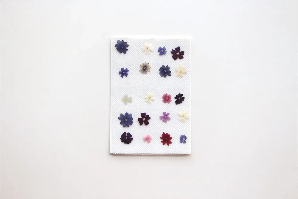 Lot de 100 mini fleurs de cerisier séchées pour résine
