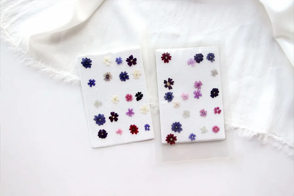 Lot de 100 mini fleurs de cerisier séchées pour résine