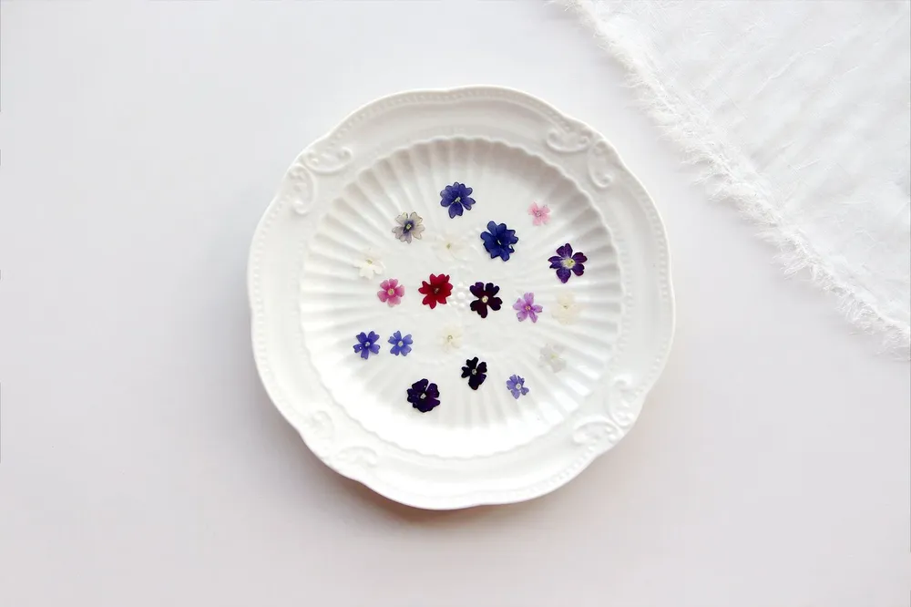 Lot de 100 mini fleurs de cerisier séchées pour résine