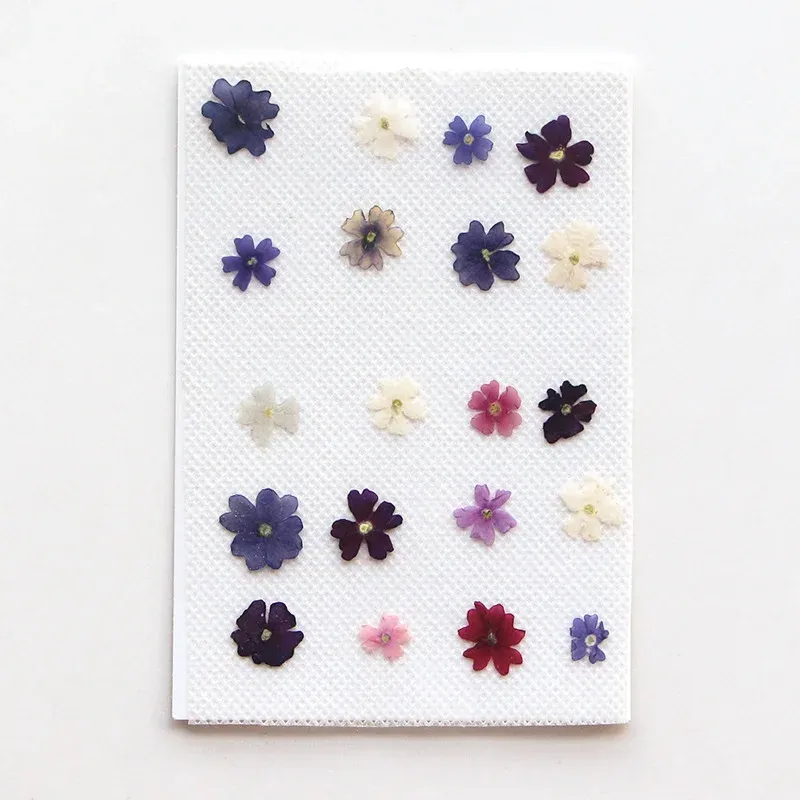 Lot de 100 mini fleurs de cerisier séchées pour résine