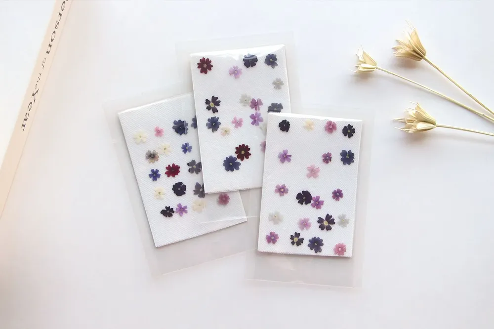 Lot de 100 mini fleurs de cerisier séchées pour résine