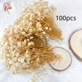 Lot de 100 mini fleurs séchées gypsophile pour résine – 2