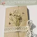 Lot de 100 mini fleurs séchées gypsophile pour résine – 4