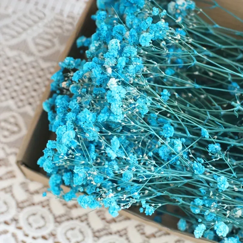 Lot de 100 mini fleurs séchées gypsophile pour résine