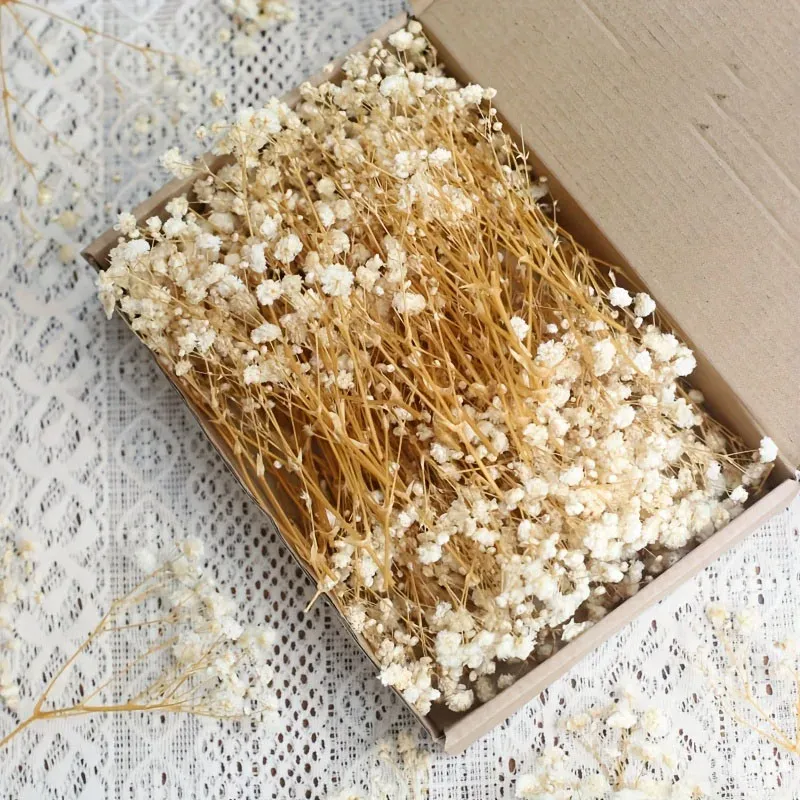 Lot de 100 mini fleurs séchées gypsophile pour résine
