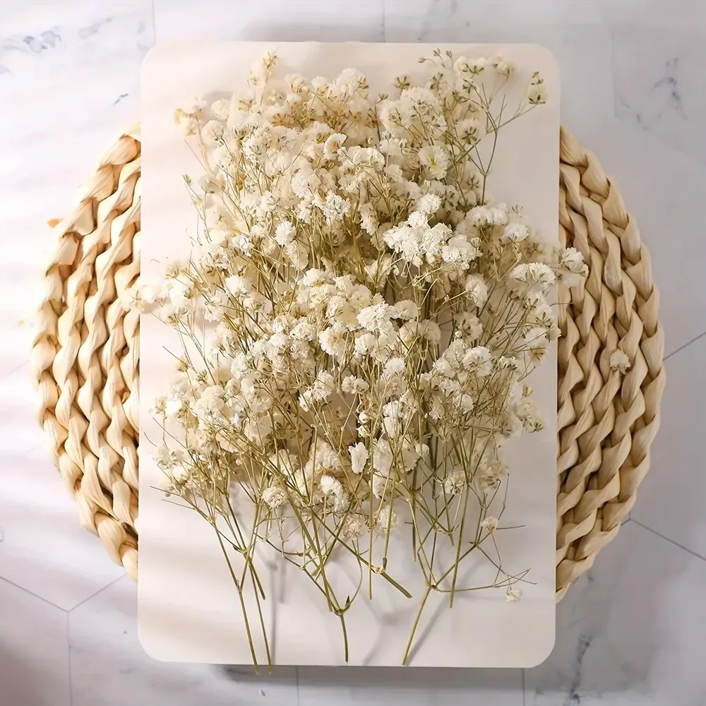 Lot de 100 mini fleurs séchées gypsophile pour résine