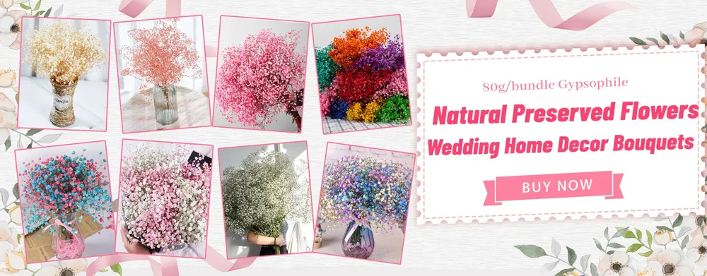 Lot de 100 mini fleurs séchées gypsophile pour résine