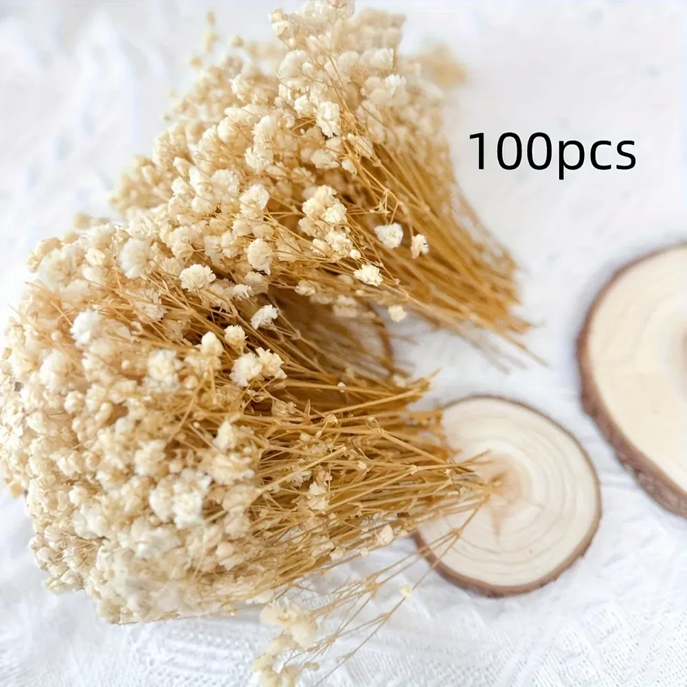 Lot de 100 mini fleurs séchées gypsophile pour résine