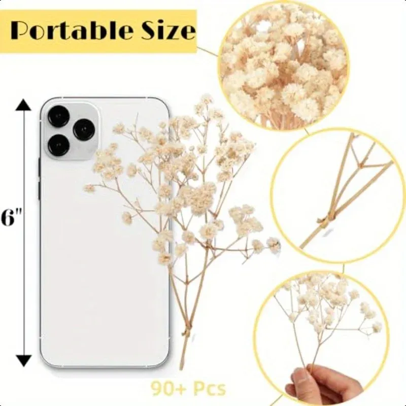 Lot de 100 mini fleurs séchées gypsophile pour résine