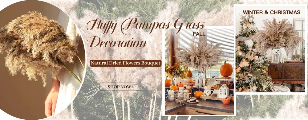 Lot de 100 mini fleurs séchées gypsophile pour résine