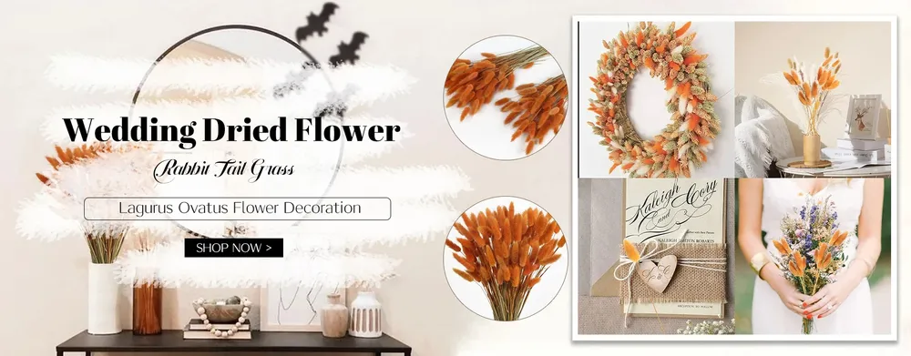Lot de 100 mini fleurs séchées gypsophile pour résine