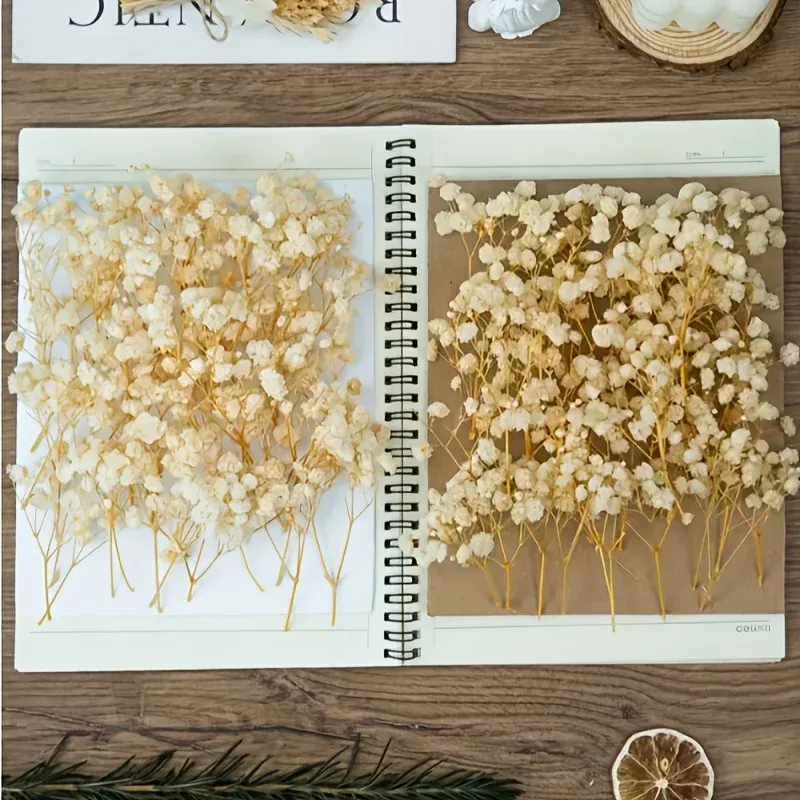 Lot de 100 mini fleurs séchées gypsophile pour résine