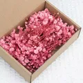 Lot de 100 mini fleurs séchées gypsophile pour résine – Couleur Pink